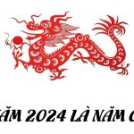 Năm 2024 là năm con gì - Một Năm Đặc Biệt Cho Người Việt: Con Rồng và Mệnh Hỏa