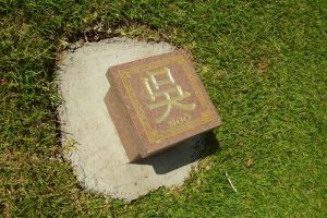 Những họ ít nhất ở Việt Nam có thể bạn chưa bao giờ biết?