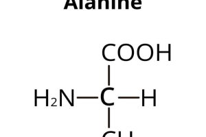 Công thức của Alanin là gì?