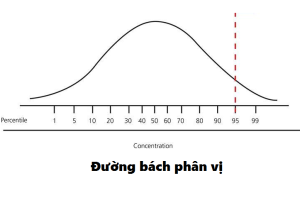 Tìm hiểu bách phân vị là gì?