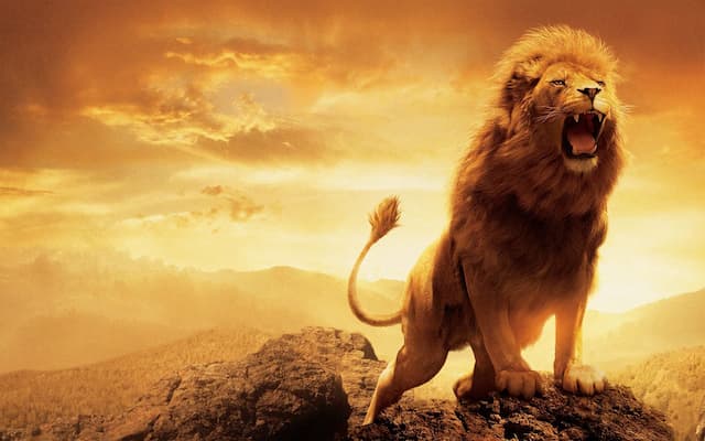 Cung Sư tử là người có tài lãnh đạo 
