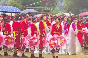 Khám phá nét đẹp văn hóa tại lễ hội đình làng Giếng Tanh