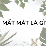 Mất mát là gì? Trong tiếng Việt “mất mác” hay “mất mát” chính xác?