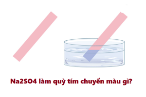 giải đáp chi tiết Na2SO4 làm quỳ tím chuyển màu gì?