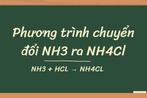 Phương trình chuyển đổi NH3 ra NH4Cl: NH3 + HCl → NH4Cl