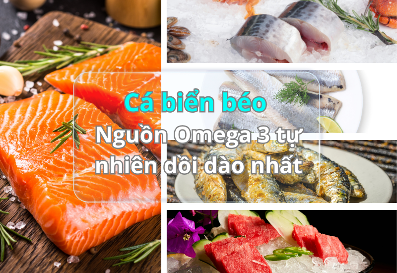 Cá biển béo – Nguồn Omega 3 tự nhiên dồi dào nhất