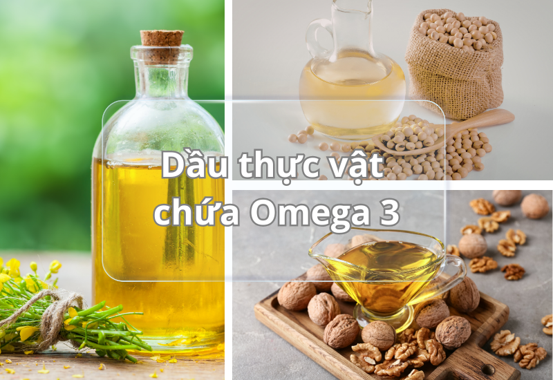 Dầu thực vật chứa Omega 3