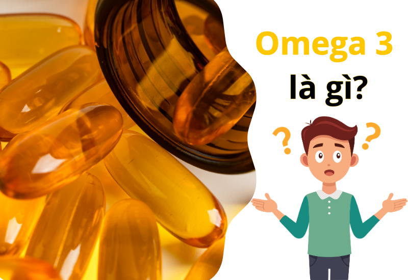 Omega 3 là gì