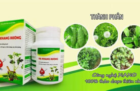 1 hộp Hạ Khang Đường gồm bao nhiêu viên?