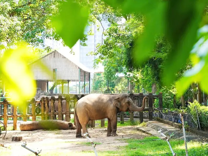 Thảo Cầm Viên là nơi lý tưởng để ghé thăm
